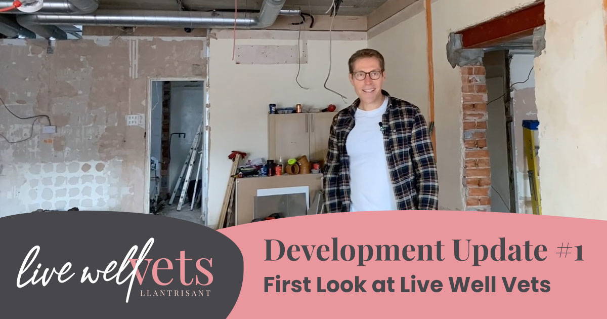 Development Update 1 First Look at Live Well Vets Live Well Vets