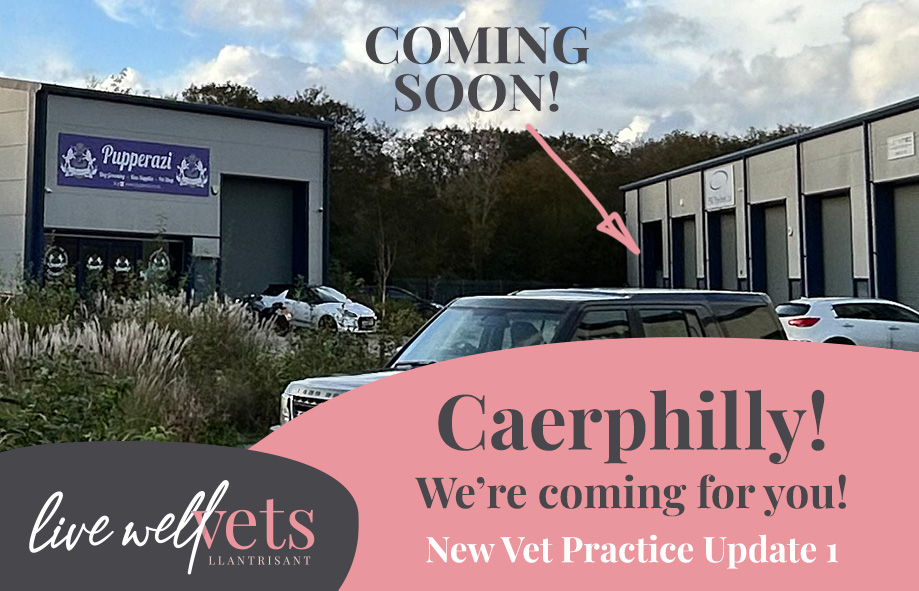 Vet in Caerphilly -Development Update 1 | Live Well Vets