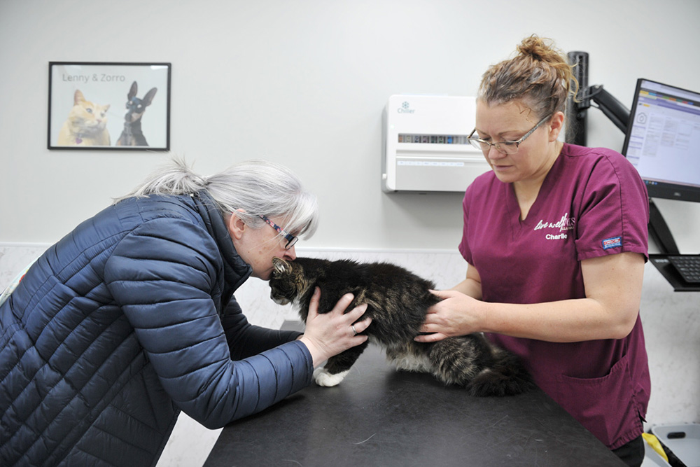 The importance of regular pet health checks