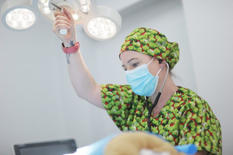 Advanced Soft Tissue Surgery and Practitioners at Live Well Vets in Llantrisant