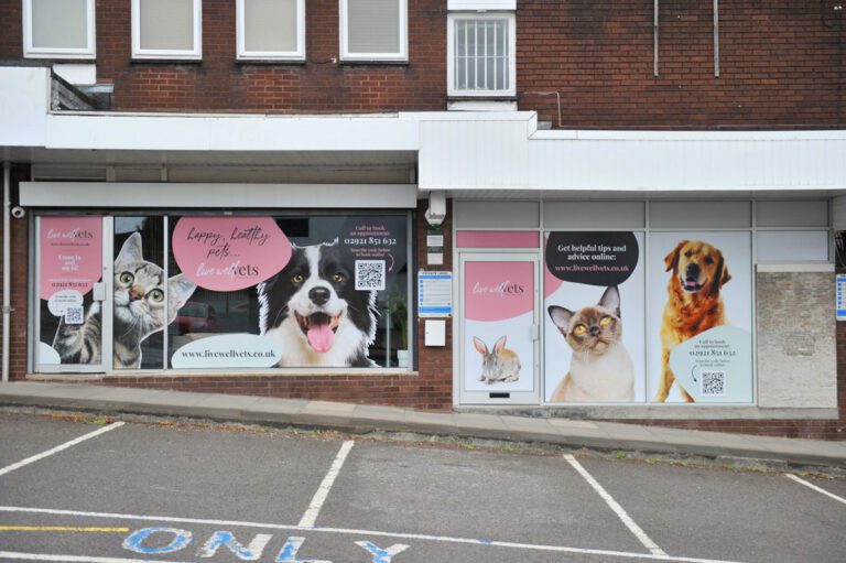 Live Well Vets in Llantrisant | Friendly, Independent Vet Practice in Talbot Green, Pontyclun
