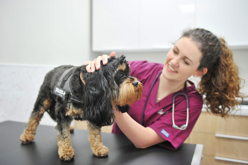 Live Well Vets in Llantrisant | Friendly, Independent Vet Practice in Talbot Green, Pontyclun