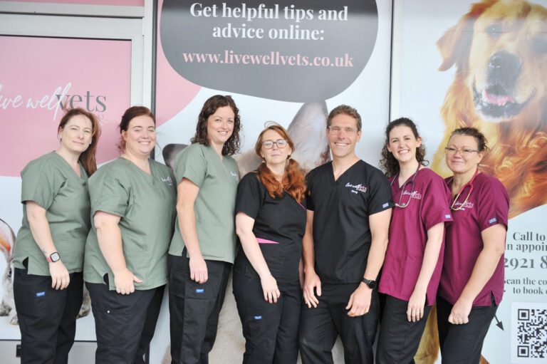 Live Well Vets in Llantrisant | Friendly, Independent Vet Practice in Talbot Green, Pontyclun