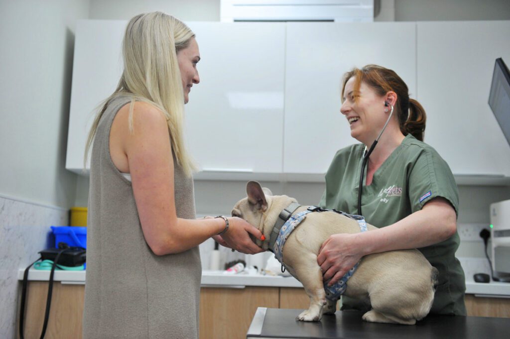 Live Well Vets in Llantrisant | Friendly, Independent Vet Practice in Talbot Green, Pontyclun