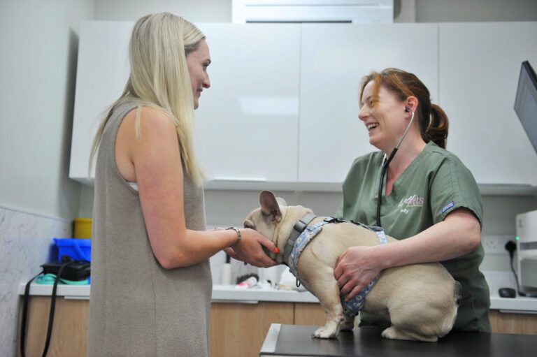 Live Well Vets in Llantrisant | Friendly, Independent Vet Practice in Talbot Green, Pontyclun