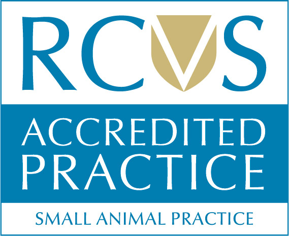 RCVS PSS certificate | Live Well Vets