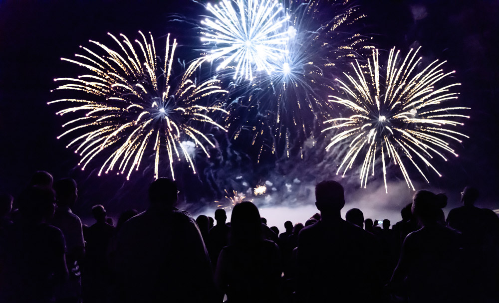 Bonfire Night: How to keep your pet calm during fireworks | Live Well Vets