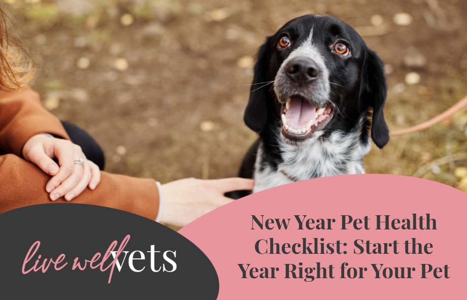 New Year Pet Health Checklist | Live Well Vets