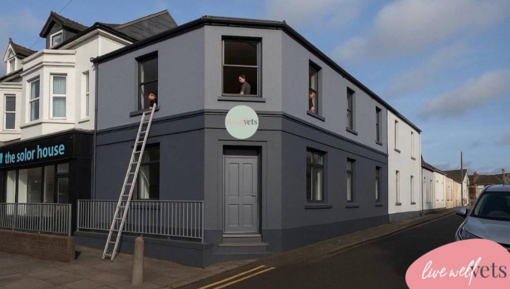 Live Well Vets Whitchurch | New Independent Vet Practice Coming Soon