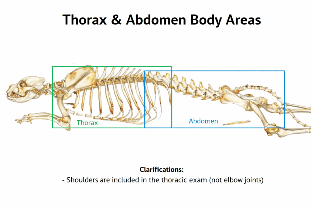 Pet CT Scan Referrals – Body Areas (Thorax & Abdomen)