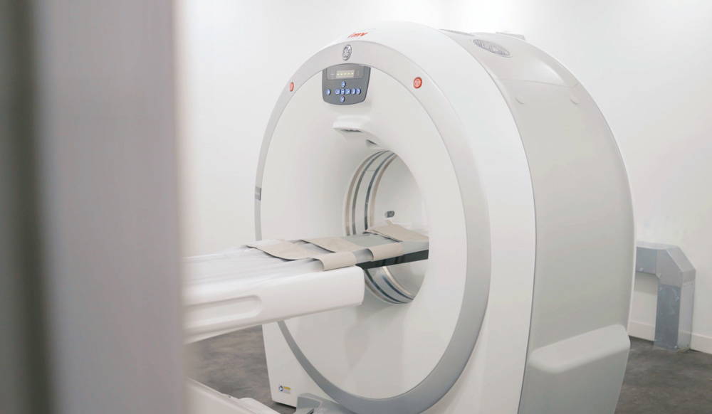 Pet having a veterinary CT scan at Live Well Vets Caerphilly