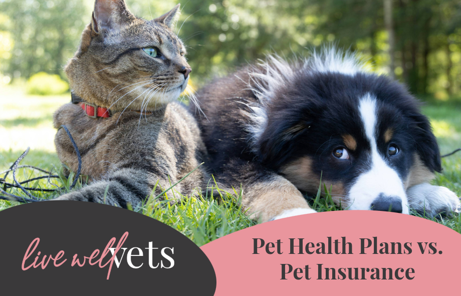 PHP vs Pet Insurance | Live Well Vets