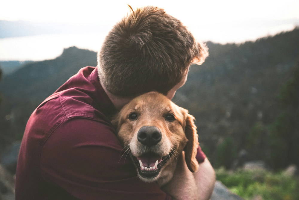 Happy dog and owner - PHP vs Pet Insurance | Live Well Vets
