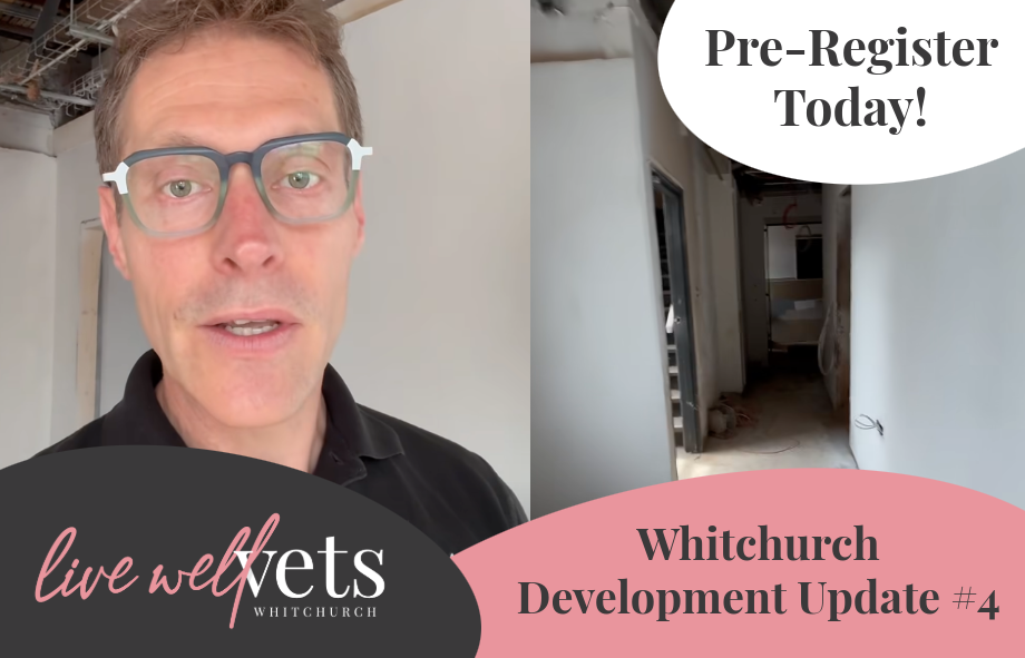 New Vet Opening In Whitchurch - July 2026 | Live Well Vets