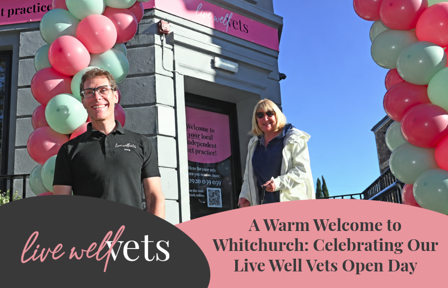 Live Well Vets Whitchurch opening day