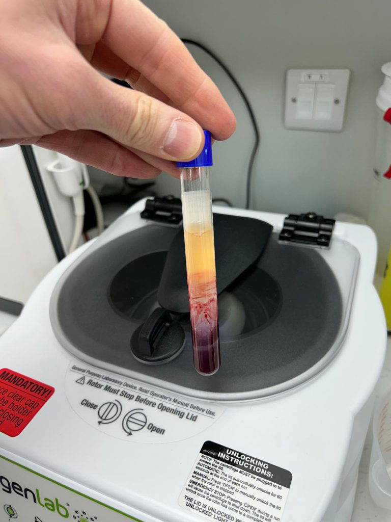 PRP preparation for Lily’s treatment at Live Well Vets